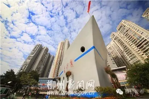 大学生前锋的职业发展规划_1